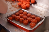 Camp2013_037.JPG