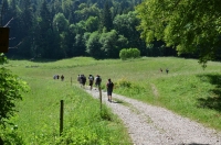 Camp2013_274.JPG
